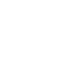 Service Icon