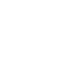 Service Icon